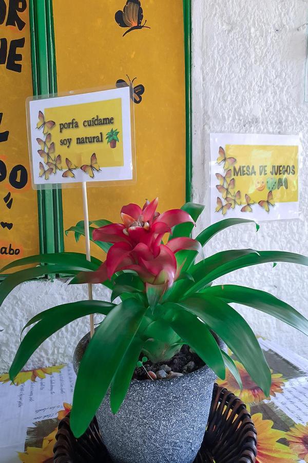 Hostal Gabo Bucaramanga Zewnętrze zdjęcie